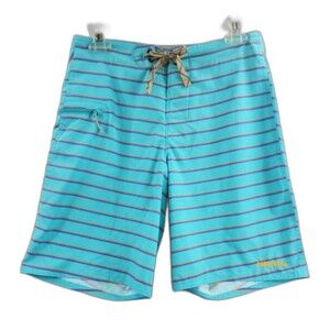 Patagonia Wavefarer Board Swim Shorts Trunks Teal Striped Men's Size 28